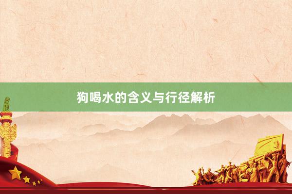 狗喝水的含义与行径解析